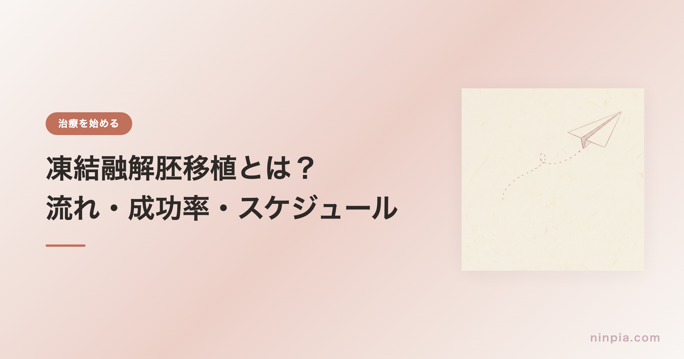 凍結融解胚移植とは？流れ・成功率・スケジュールを解説