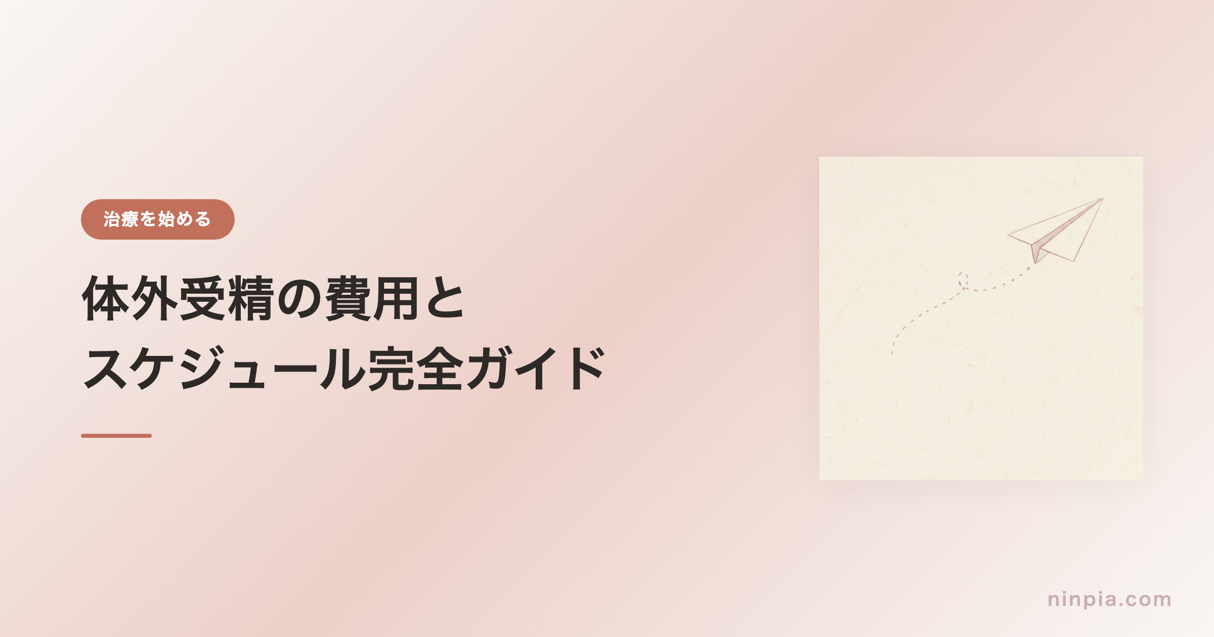 体外受精の費用とスケジュール完全ガイド