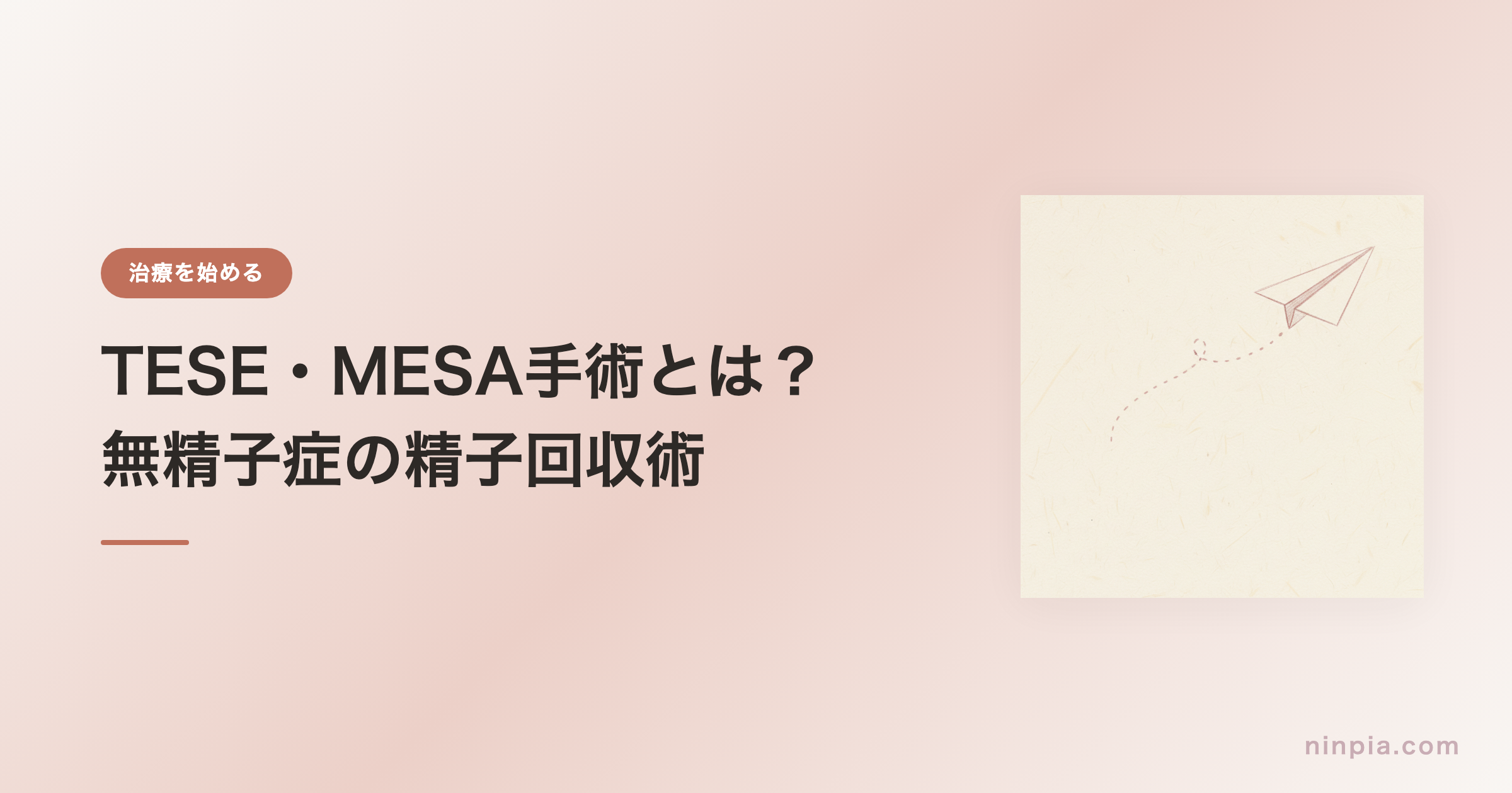 TESE・MESA手術とは？ — 無精子症の精子回収術